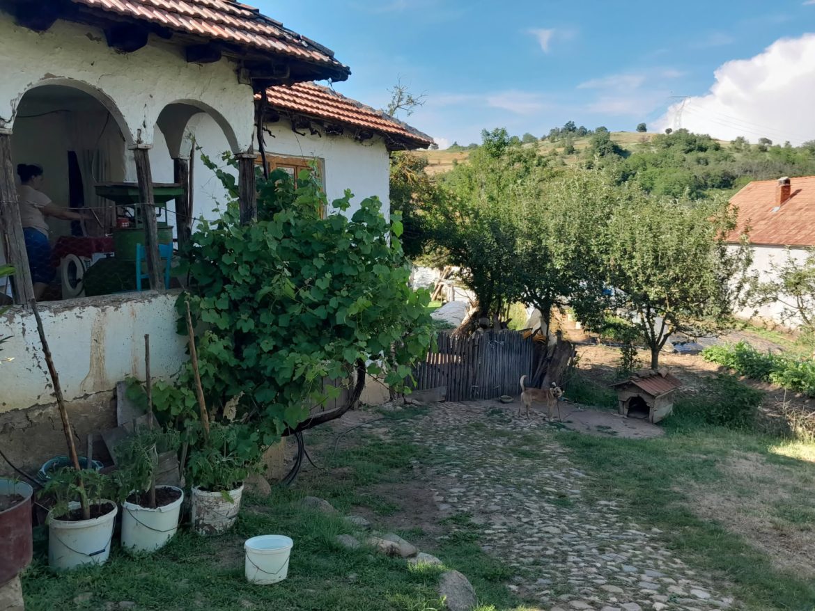 Humanitarni apel za porodicu Mitković iz Spančevca