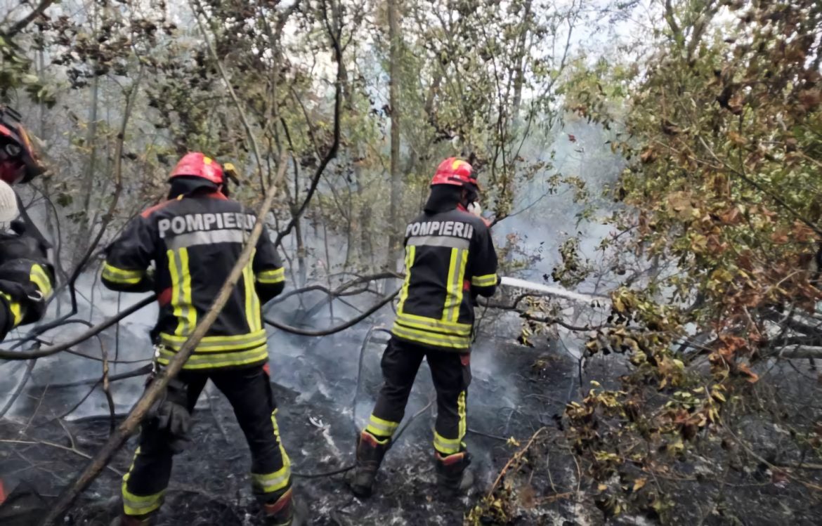 Borba sa vatrenom stihijom u Deliblatskoj peščari
