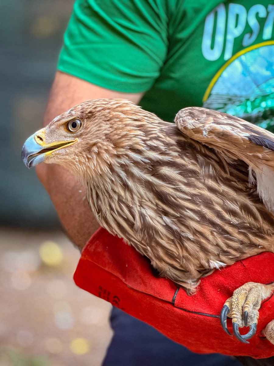 Obelezavanje_Feliksa_foto_Zoo_vrt_Palic_3