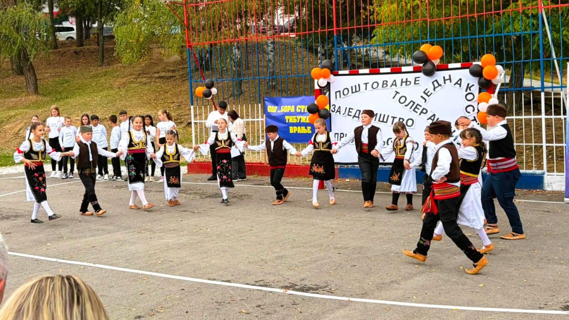 OŠ „Bora Stanković“ Tibužde